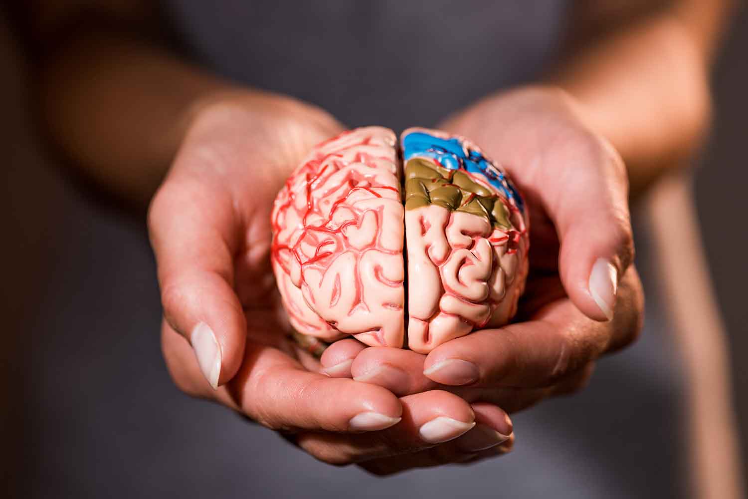 darm-und-psyche-darm-hirn-achse Typische Mangelerscheinungen durch Eisenmangel