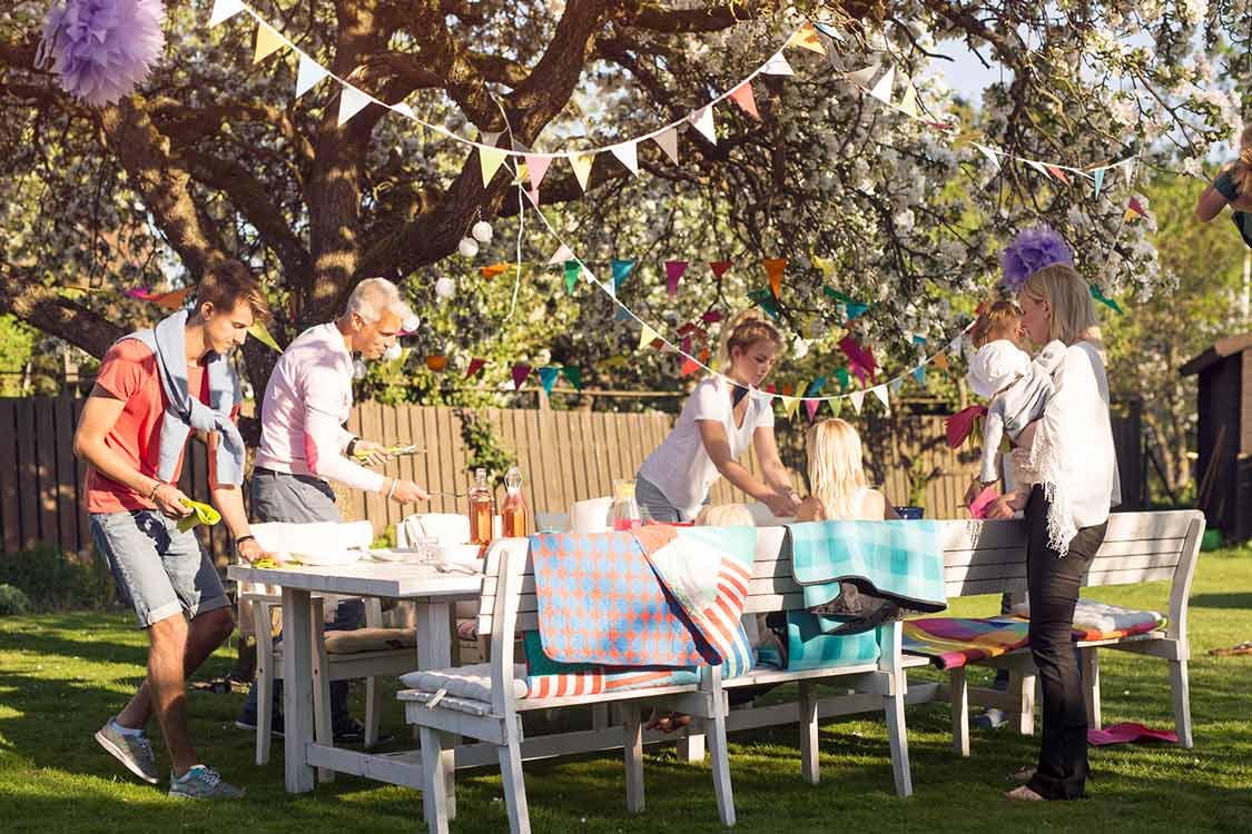 gartenparty-checkliste Typische Mangelerscheinungen durch Eisenmangel