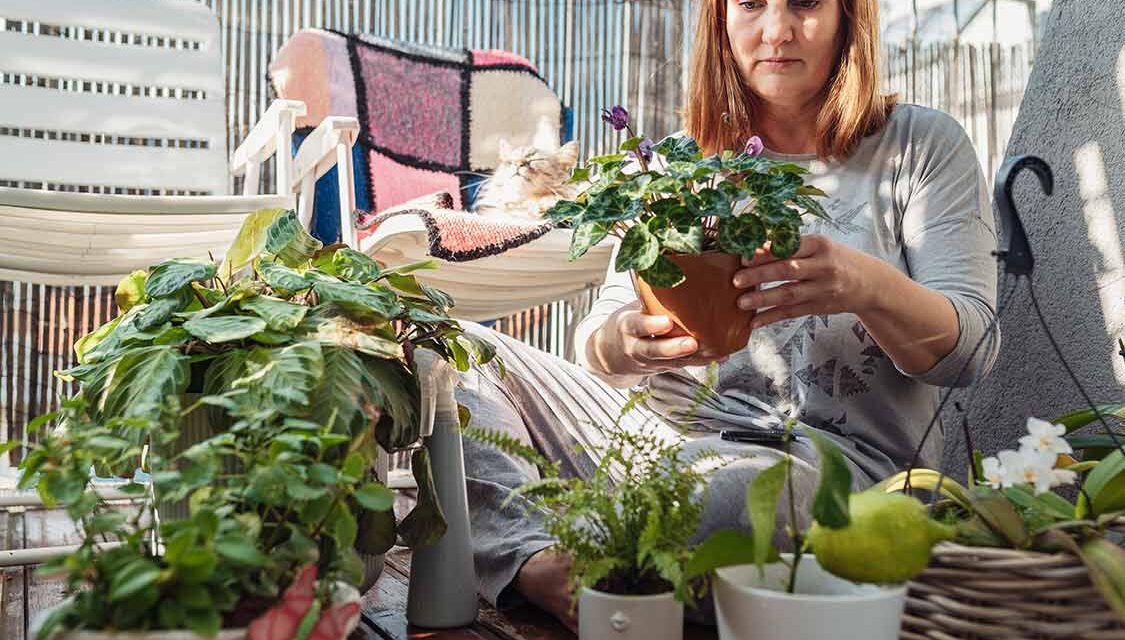 Urban Gardening auf dem Balkon: Ideen, Tipps & Pflanzen für dein grünes Stadtparadies