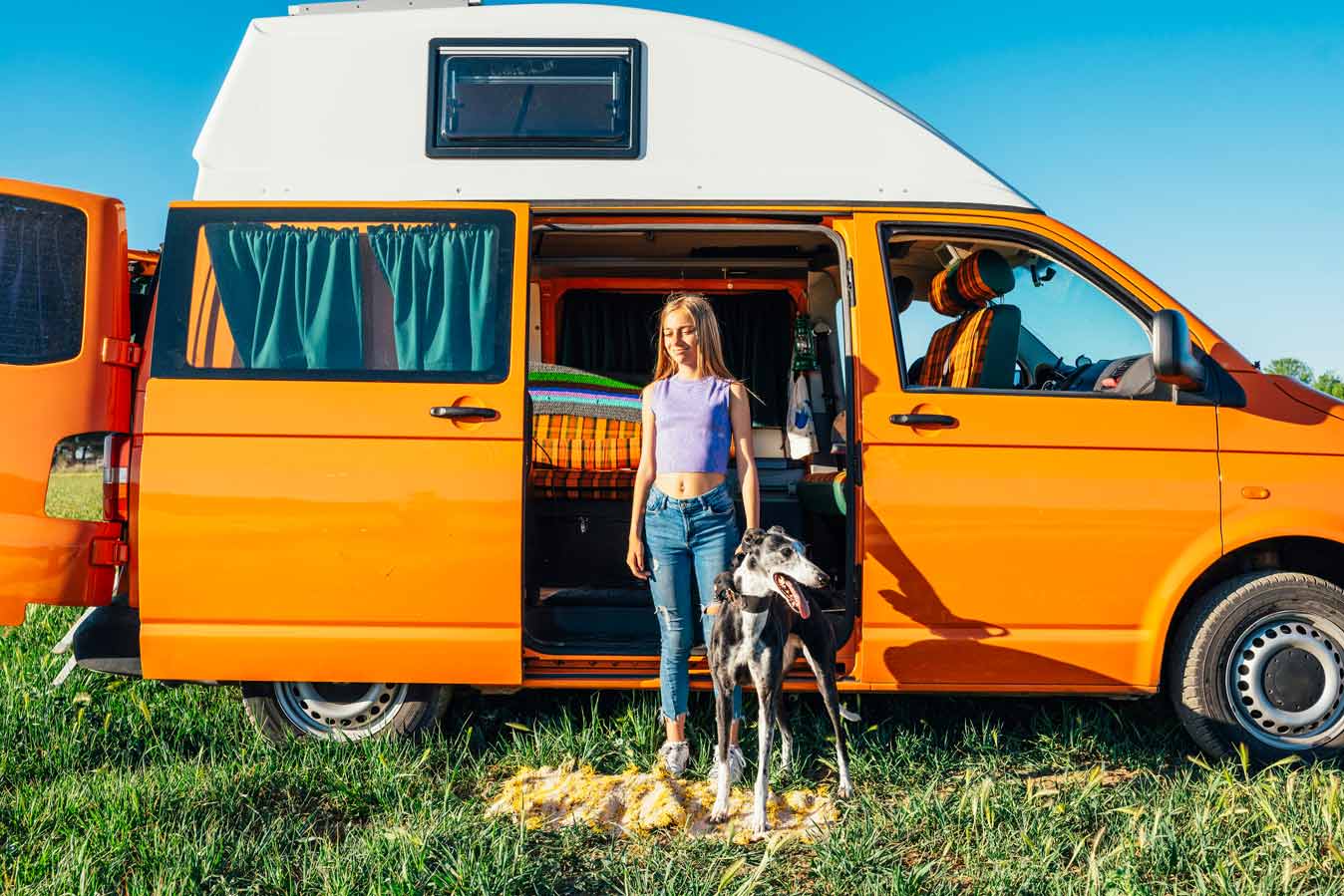 vanlife-mit-hund Typische Mangelerscheinungen durch Eisenmangel