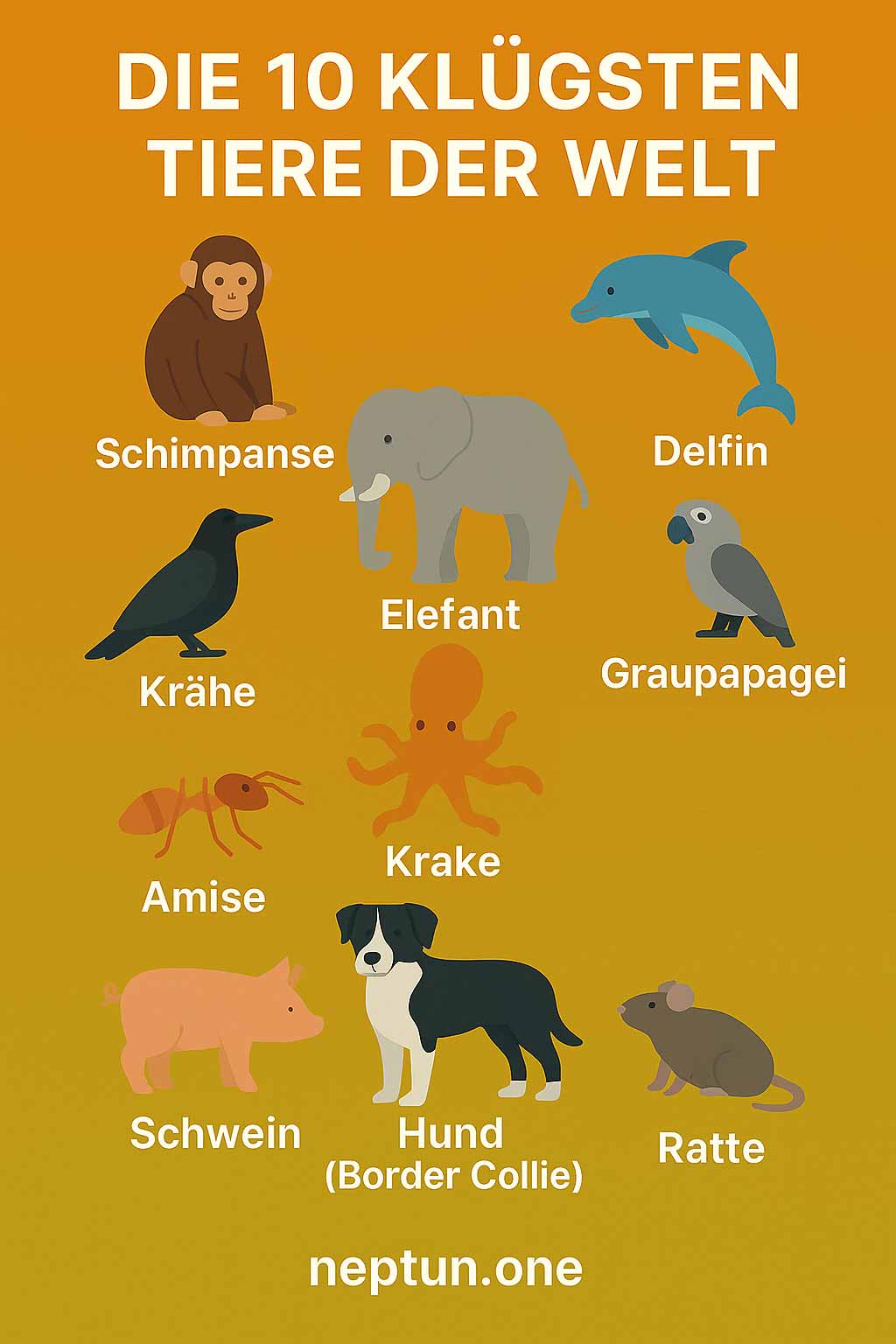 die-10-schlausten-tiere-der-welt-infografik Typische Mangelerscheinungen durch Eisenmangel