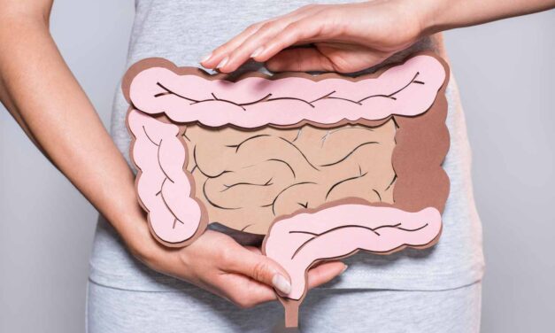Fettreiche Ernährung und Darmkrebs: Aktuelle Erkenntnisse und 5 Präventionstipps