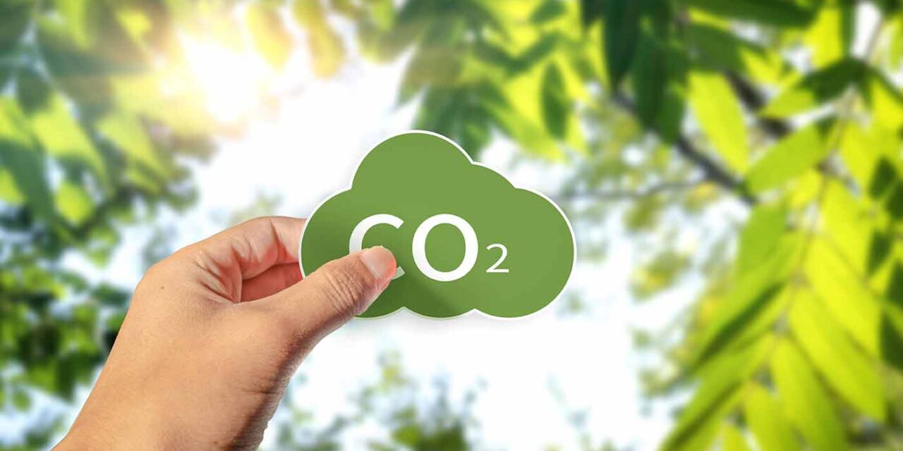 Was ist der CO2-Fussabdruck – und wie kannst du ihn konkret senken?
