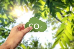 Hand mit CO₂-Icon vor sonnigem Blätterhintergrund