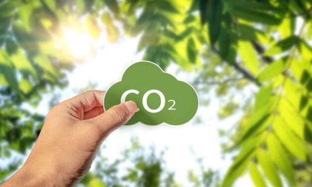 Was ist der CO2-Fussabdruck – und wie kannst du ihn konkret senken?