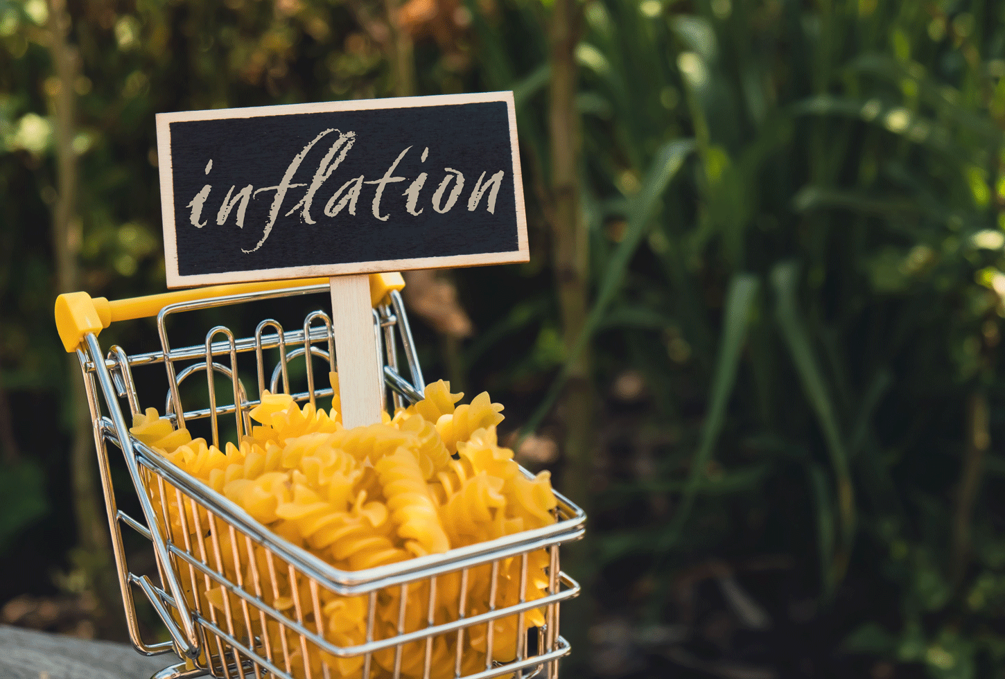 inflation-und-euro-verstehen