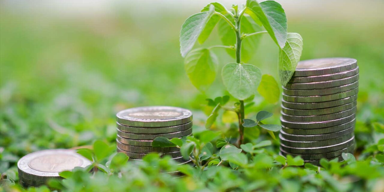 Grünes Investieren: Nachhaltige ETFs & Aktien für dein Portfolio