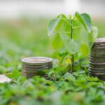 Grünes Investieren: Nachhaltige ETFs & Aktien für dein Portfolio