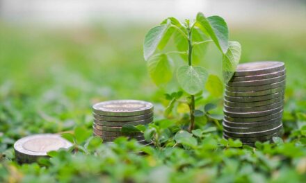 Grünes Investieren: Nachhaltige ETFs & Aktien für dein Portfolio