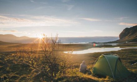 Wildcampen in Deutschland: Erlaubt oder Verboten?