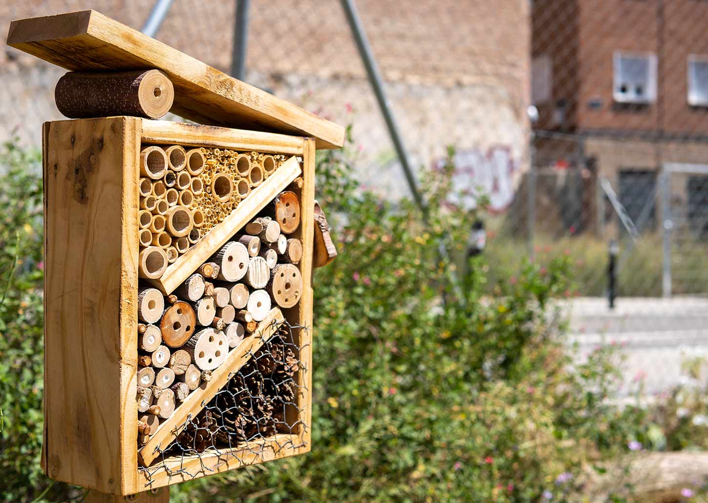 insekten im ökosystem wofür sind sie da