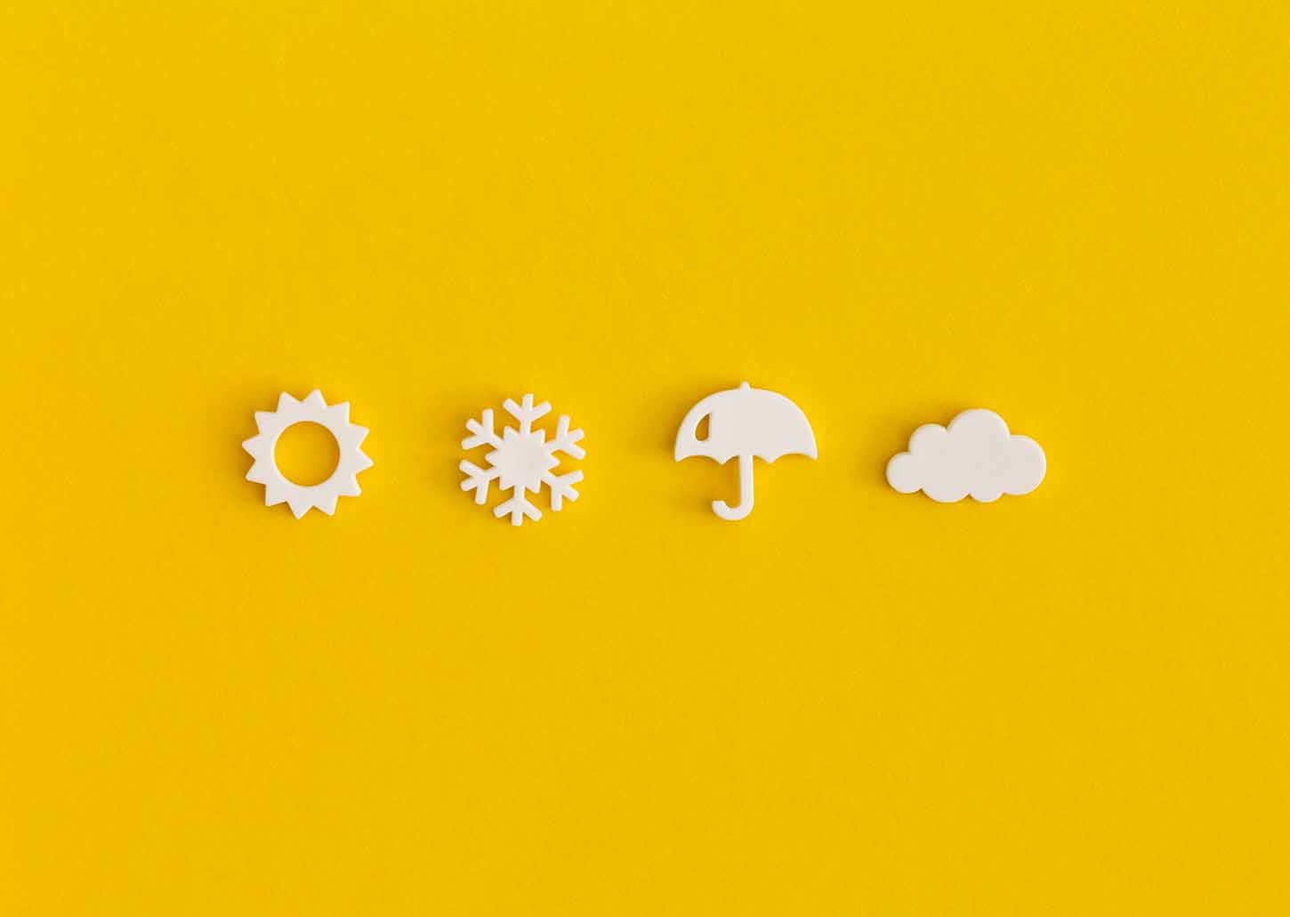 wettervorhersage-verstehen insekten im ökosystem wofür sind sie da
