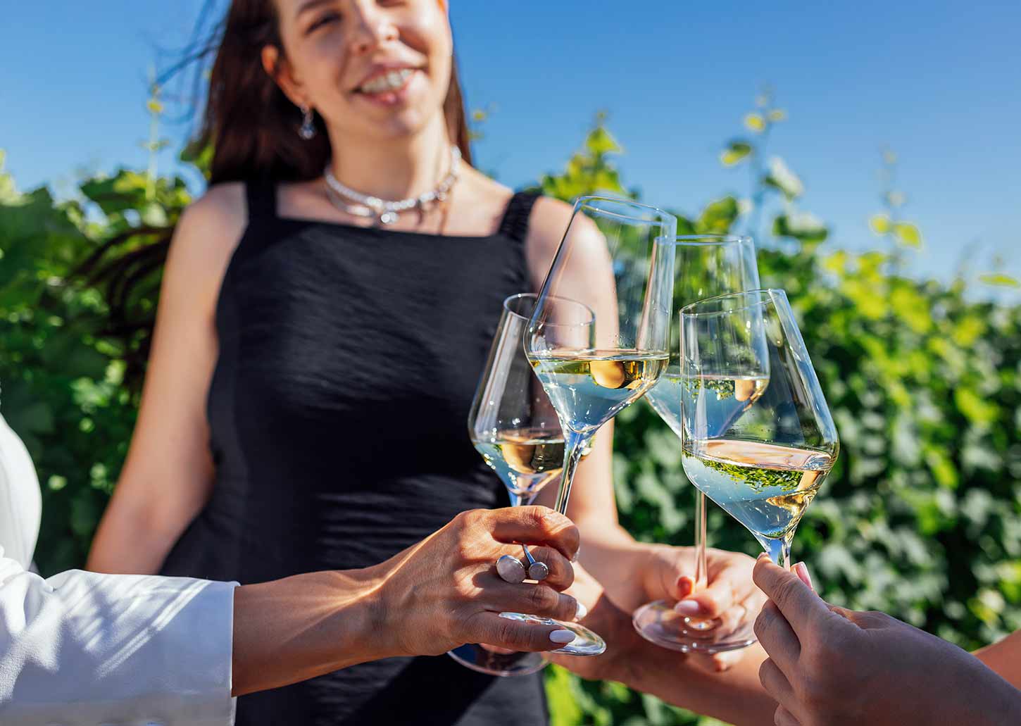 wie-wird-wein-hergestellt-anleitung-ablauf