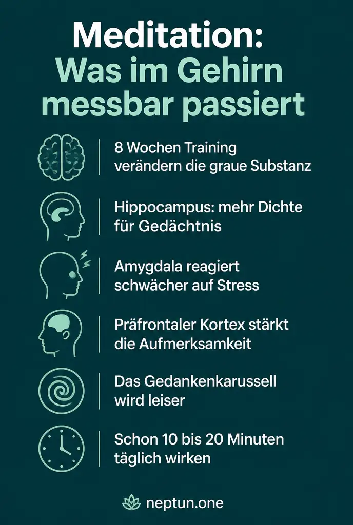 Infografik: Was Meditation im Gehirn messbar verändert, sechs Fakten